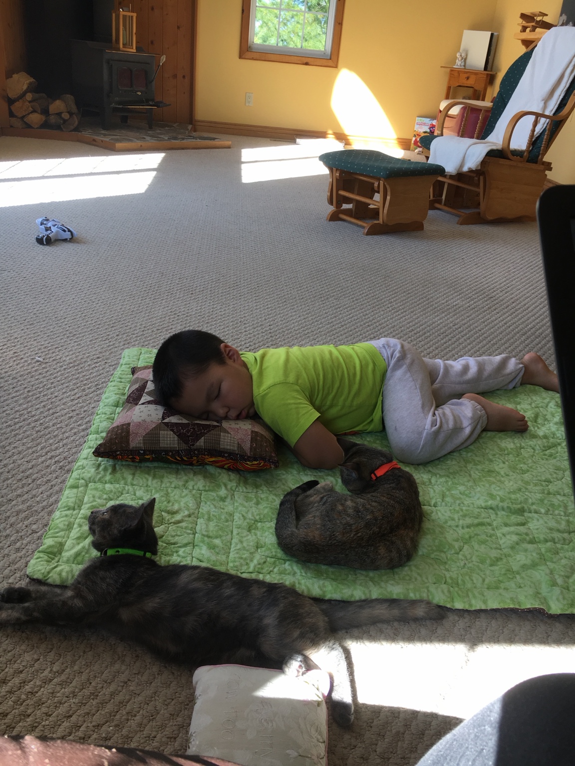 Lucas asleep on a quilt with family cats nearby